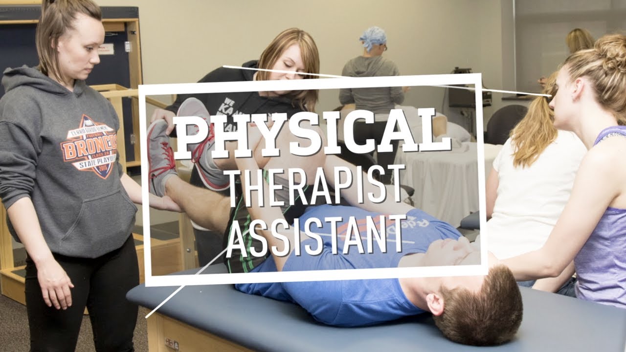 Physical Therapist Assistant